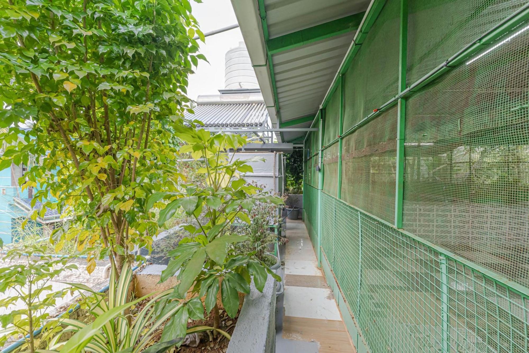 Udupi Homestay Garden Villa Kültér fotó