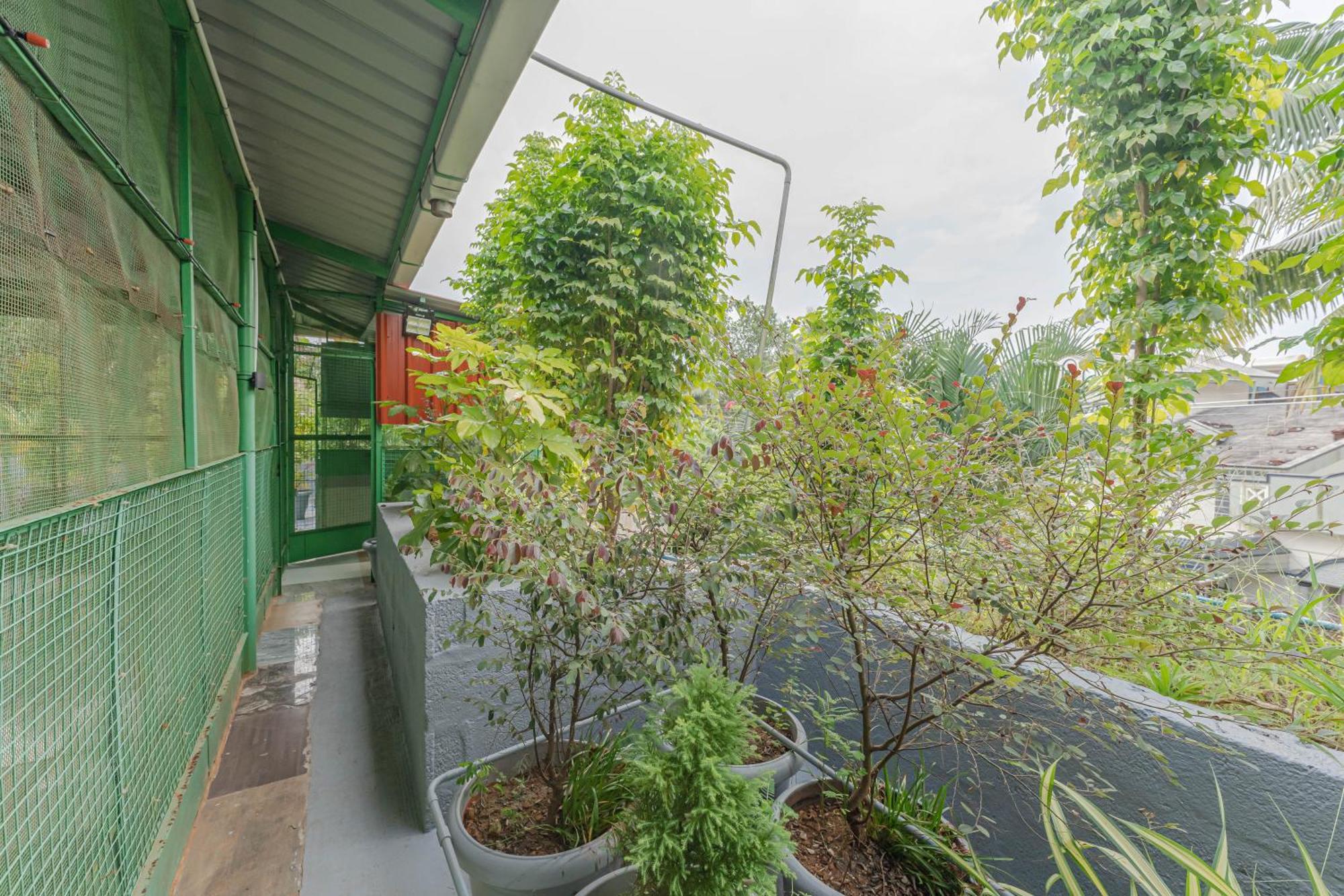 Udupi Homestay Garden Villa Kültér fotó